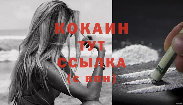 спиды Тихвин